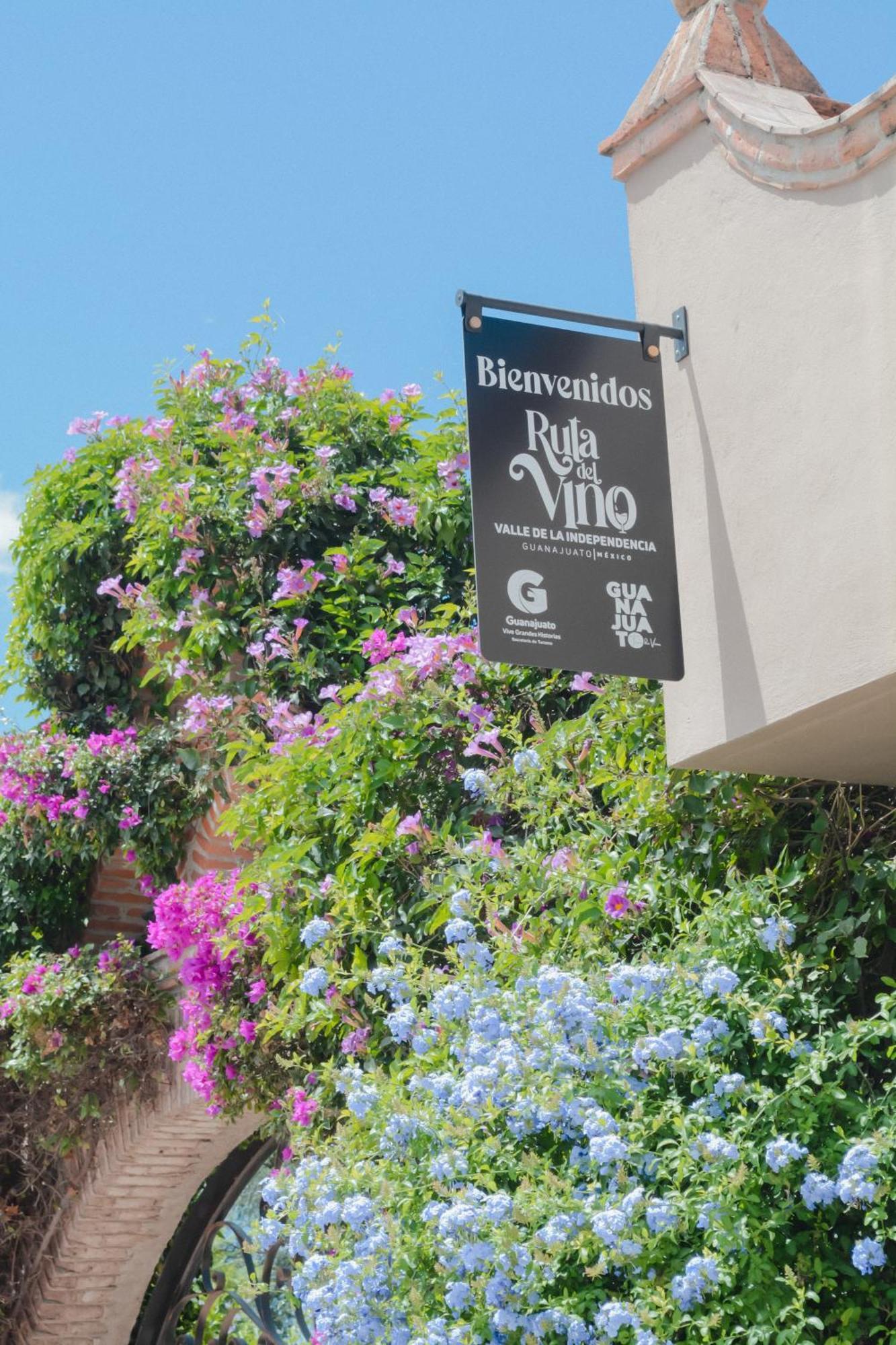Casa Las Palmas, San Miguel De Allende Cieneguita ภายนอก รูปภาพ